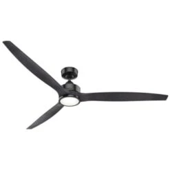 Hunter Fan Park View 72 In. Ceiling Fan W/ Light (Black)