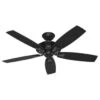 Hunter Fan Rainsford 52 In. Ceiling Fan W/ Light (Black)