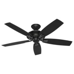 Hunter Fan Rainsford 52 In. Ceiling Fan W/ Light (Black)