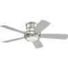 Craftmade™ Tempo 44 In. 5-Blade Led Ceiling Fan W/ Light (Silver) -Home Furnishing Store 227904 w MainProductImage Lg