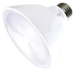 Green Creative 11W PAR30SN LED Reflector Bulb (6-Pack)