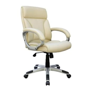 Boss Office Products Executive Desk Chair Silver With Ivory Vinyl 3 Boss Office Products Executive Desk Chair Silver With Ivory Vinyl