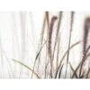 Red Roof Inn® Feather Grass 36wx24h Canvas Print W/espresso Frame 1 Red Roof Inn® Feather Grass 36wx24h Canvas Print W/espresso Frame -Home Furnishing Store 313332 V Lg 1