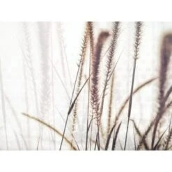 Red Roof Inn® Feather Grass 36Wx24H Espresso Framed Artwork