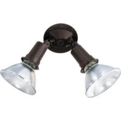 Satco® Nuvo Bronze Two-Light 10 Exterior Par38 Flood Light With Adjustable Swivel