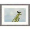 Clearwater Art Collection Spring Bird, Cool Scheme, Silver Frame -Home Furnishing Store 332674 w MainProductImage BUS Lg