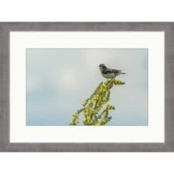 Clearwater Art Collection Spring Bird, Cool Scheme, Silver Frame