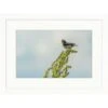 Clearwater Art Collection Spring Bird, Cool Scheme, White Frame -Home Furnishing Store 332678 w MainProductImage BUS Lg