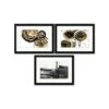 Clearwater Art Collection In A Box,queen Sofa,neutral Scheme,black Frame,pack Of 3 -Home Furnishing Store 332730 w MainProductImage BUS Lg
