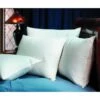 Renova Pillow Queen 20x30 26 Ounce Case Of 10 -Home Furnishing Store 759322 Lg